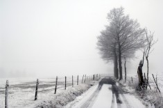 Les aléas climatiques